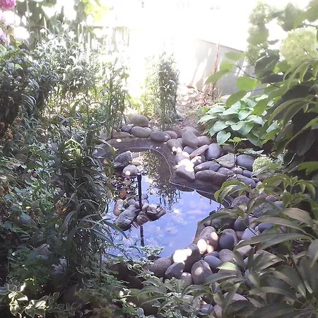 Гостевой дом Krasi 3*