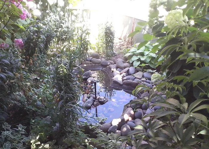 Guest house Krasi 3*