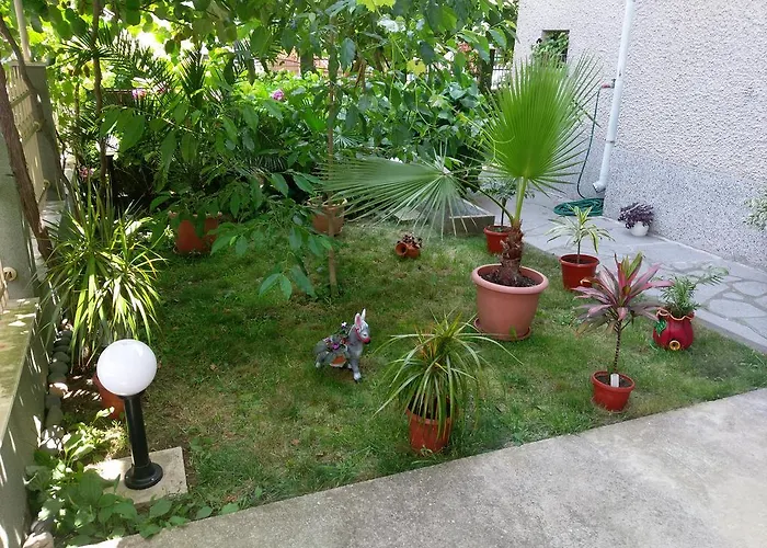 Guest house Krasi Chernomorets